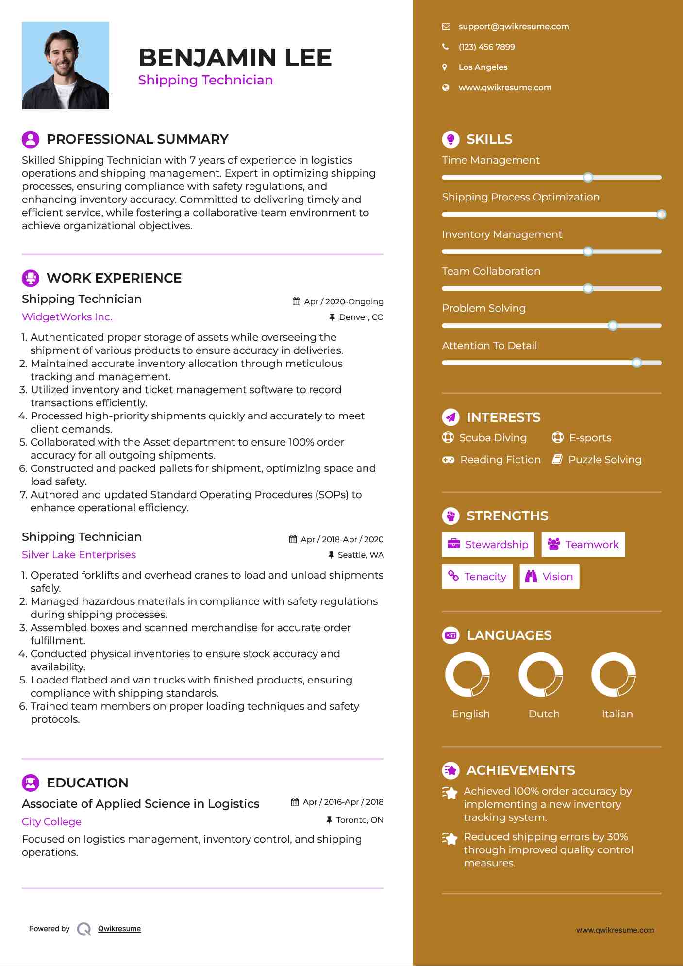 Shipping Technician Resume Example