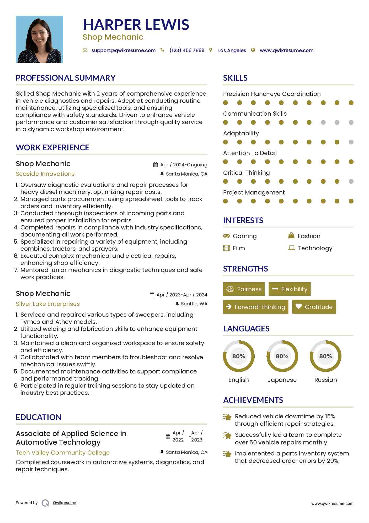 Shop Mechanic Resume Sample