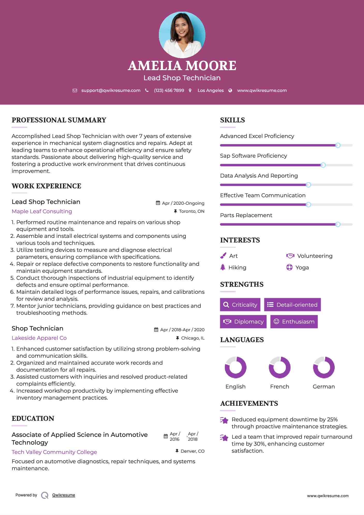 Lead Shop Technician Resume Example