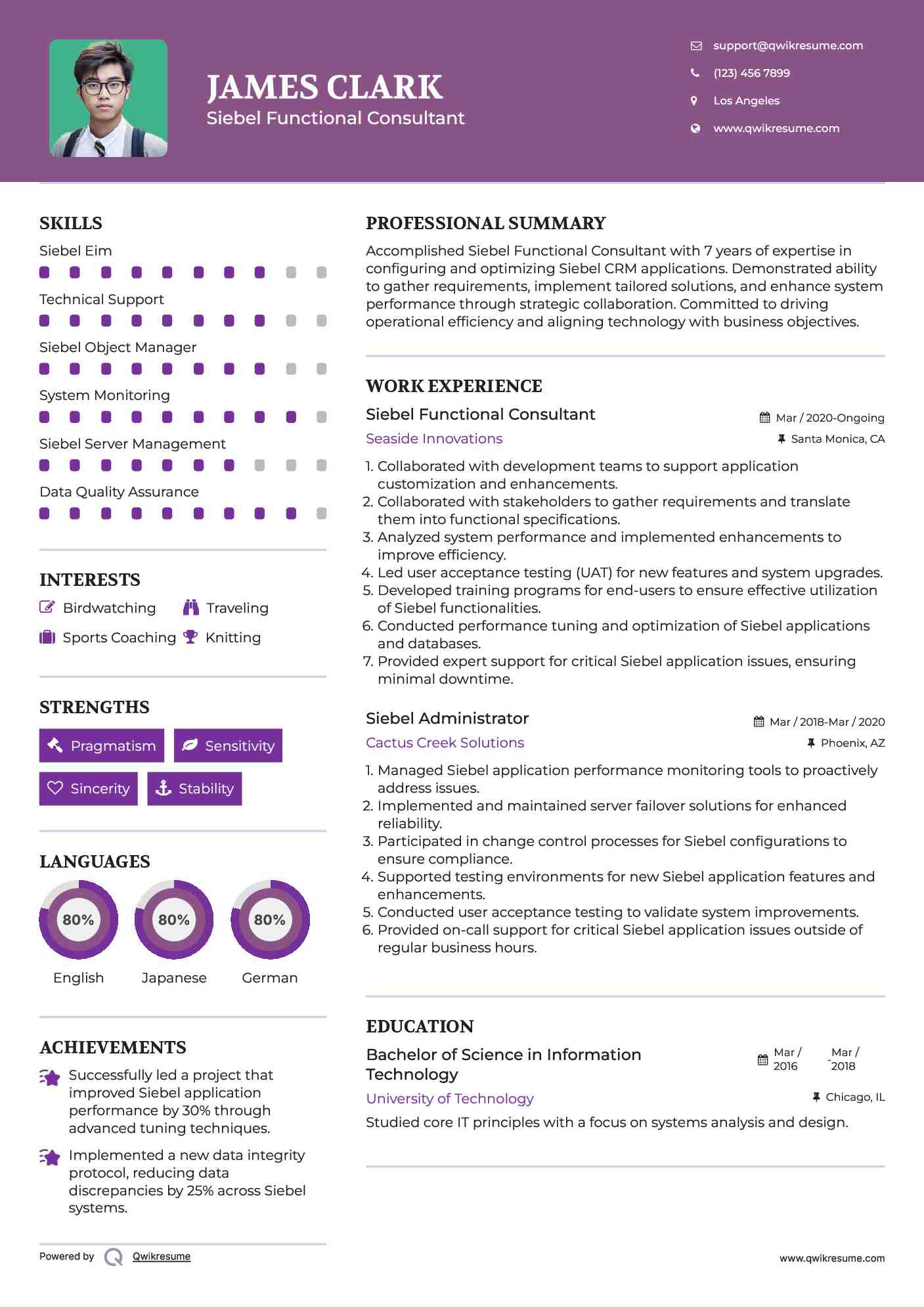 Siebel Functional Consultant Resume Model