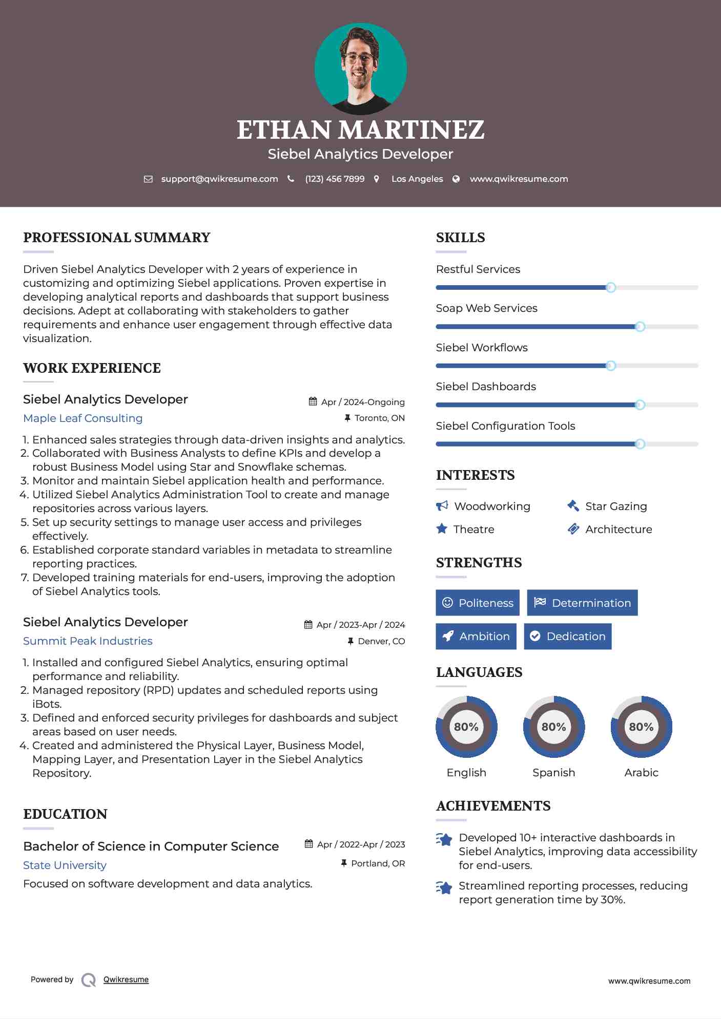 Siebel Analytics Developer Resume Format