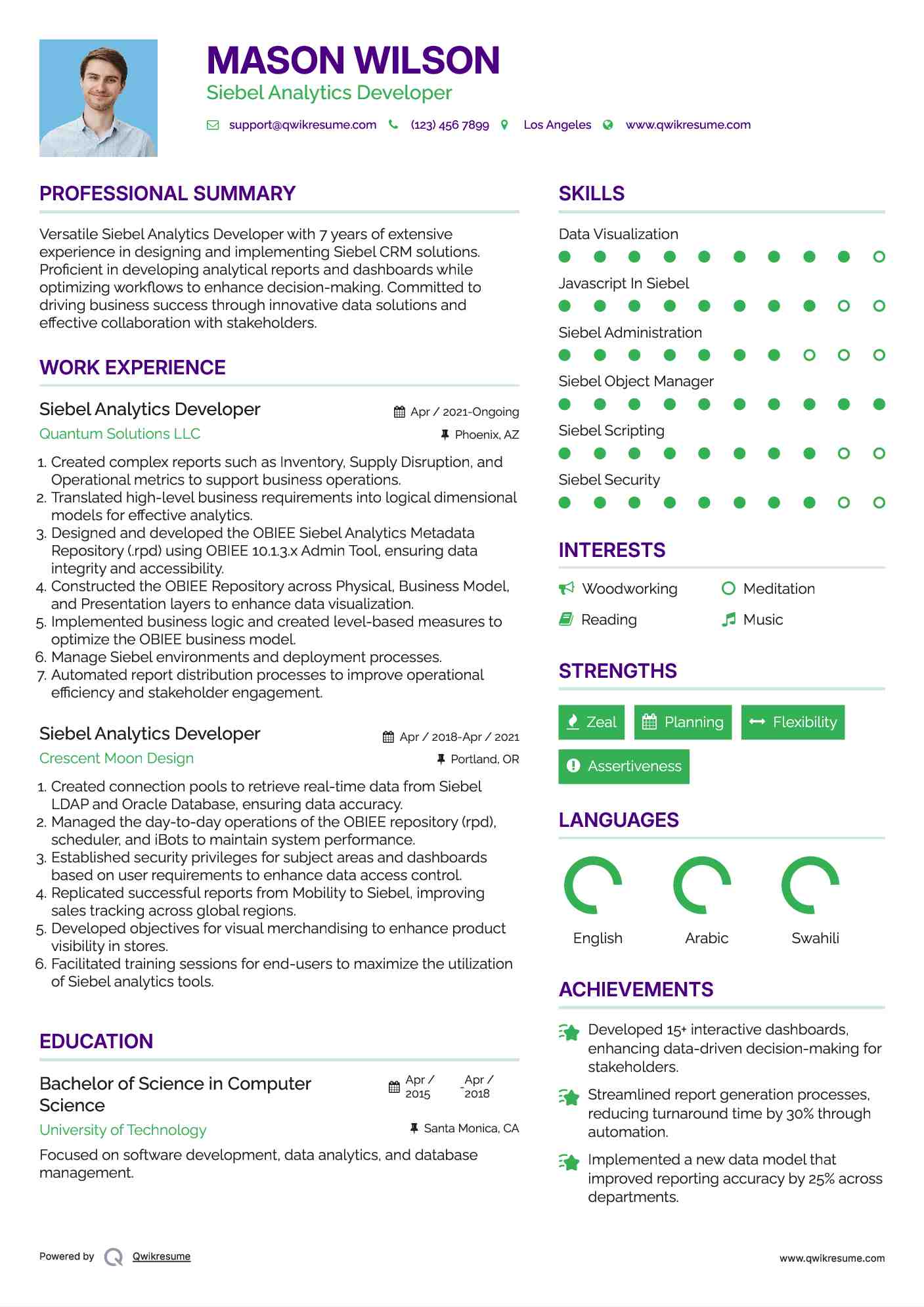 Siebel Analytics Developer Resume Sample