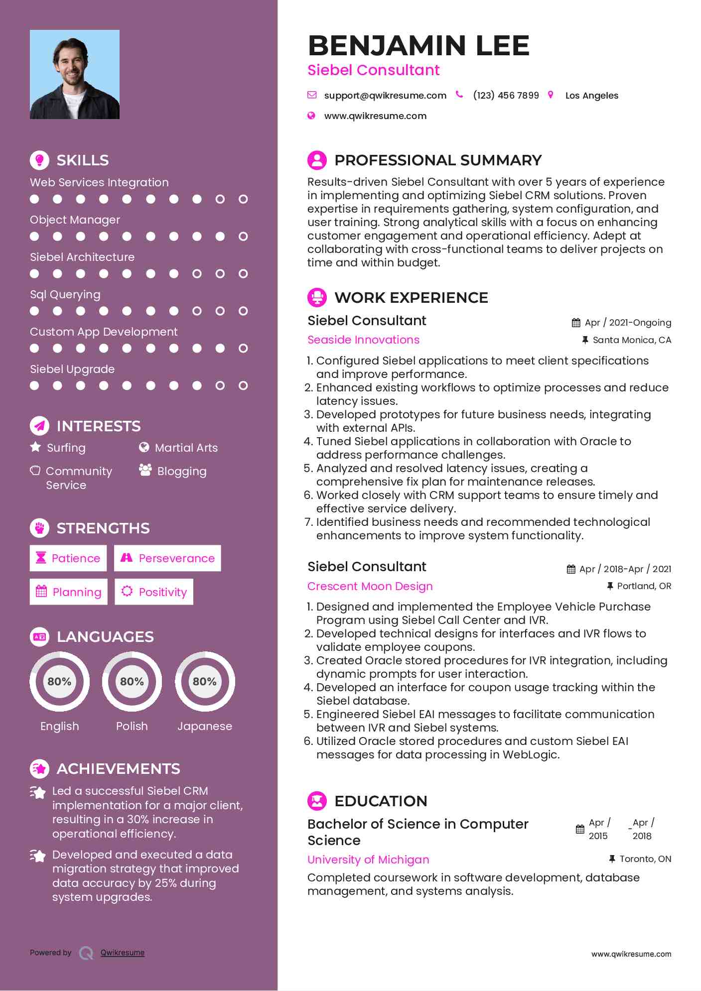 Siebel Consultant Resume Template
