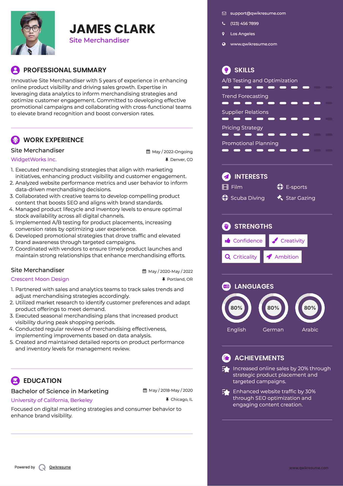 Site Merchandiser Resume Format