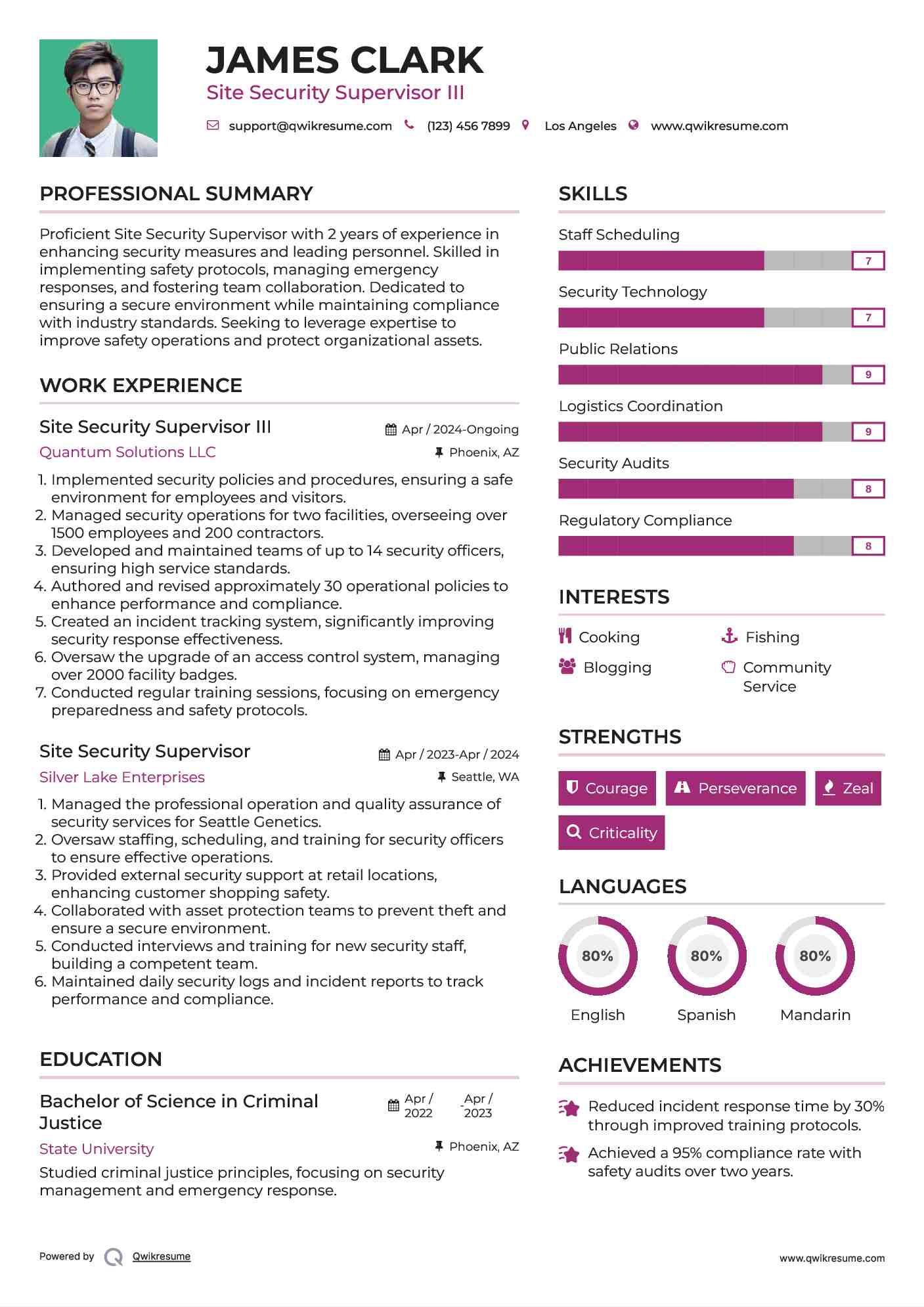 Site Security Supervisor III Resume Example