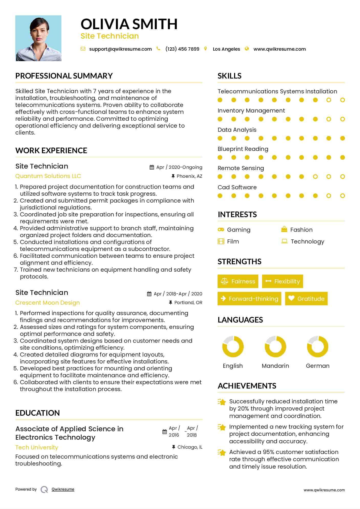 Site Technician Resume Sample