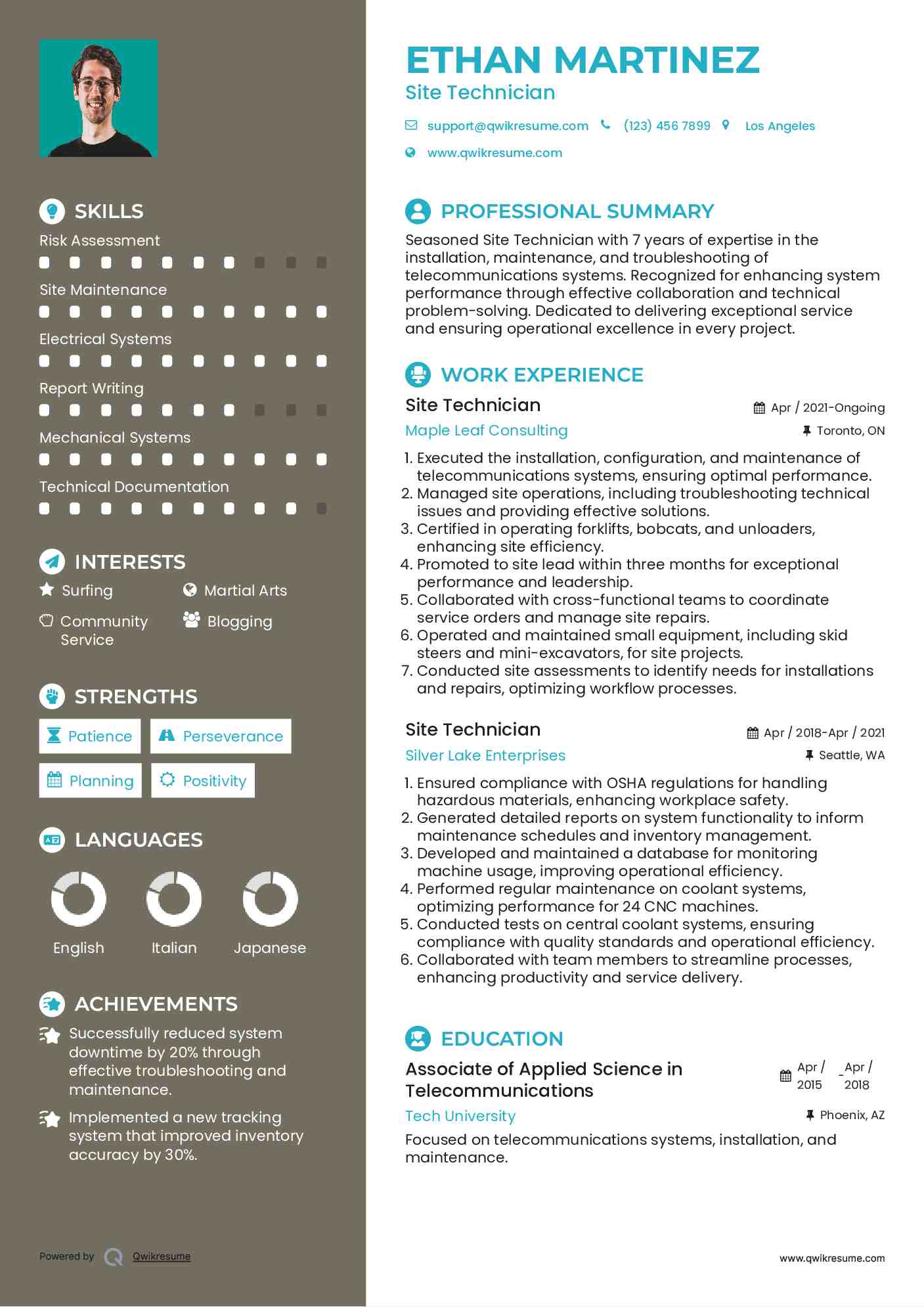 Site Technician Resume Template