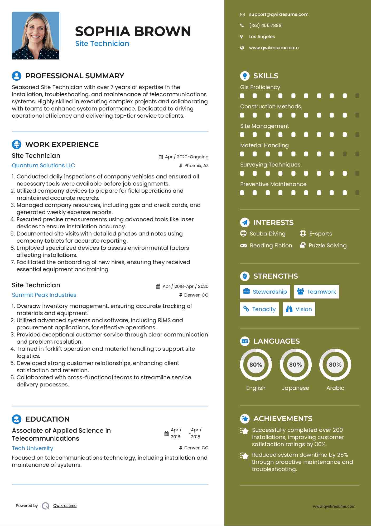 Site Technician Resume Example