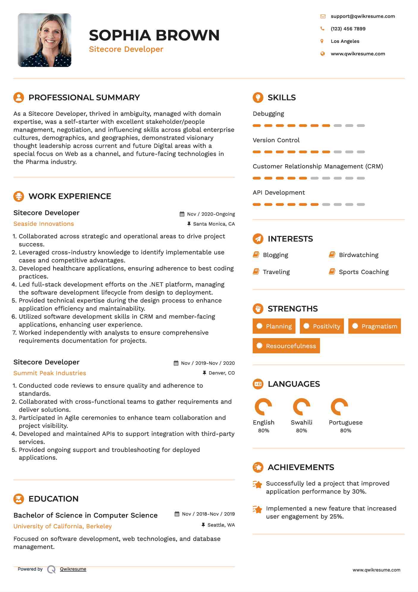 Sitecore Developer Resume Model