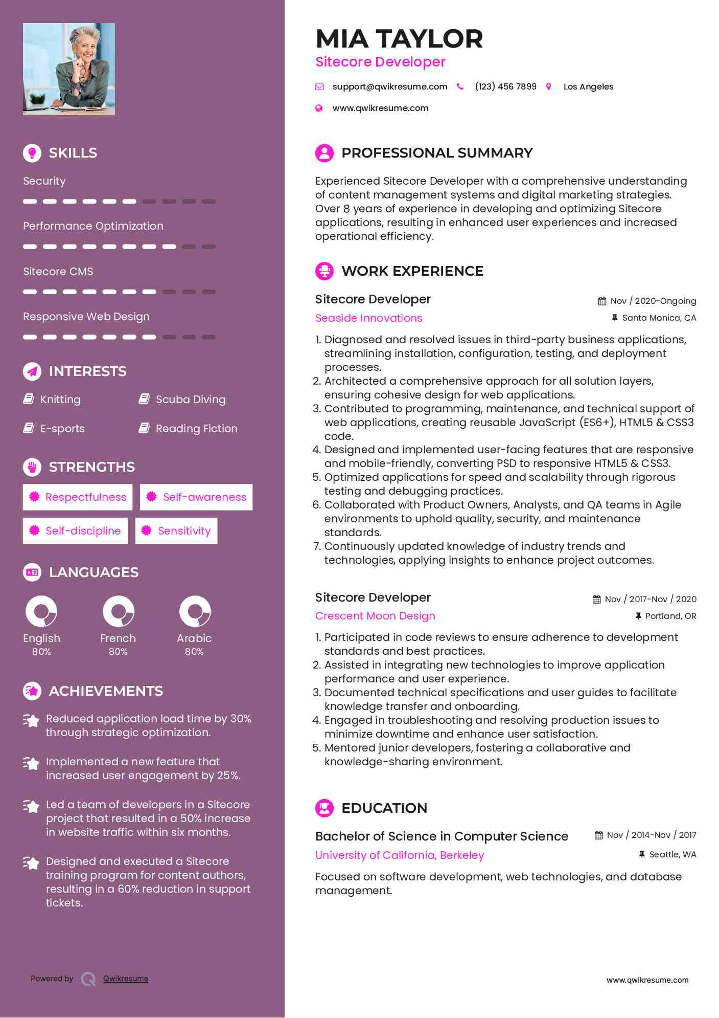 Sitecore Developer Resume Example