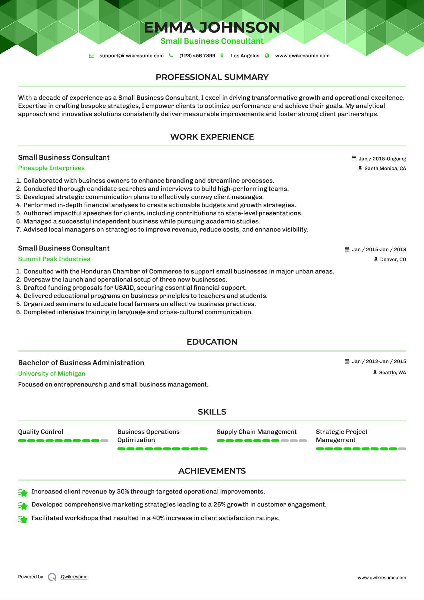 Small Business Consultant Resume Template