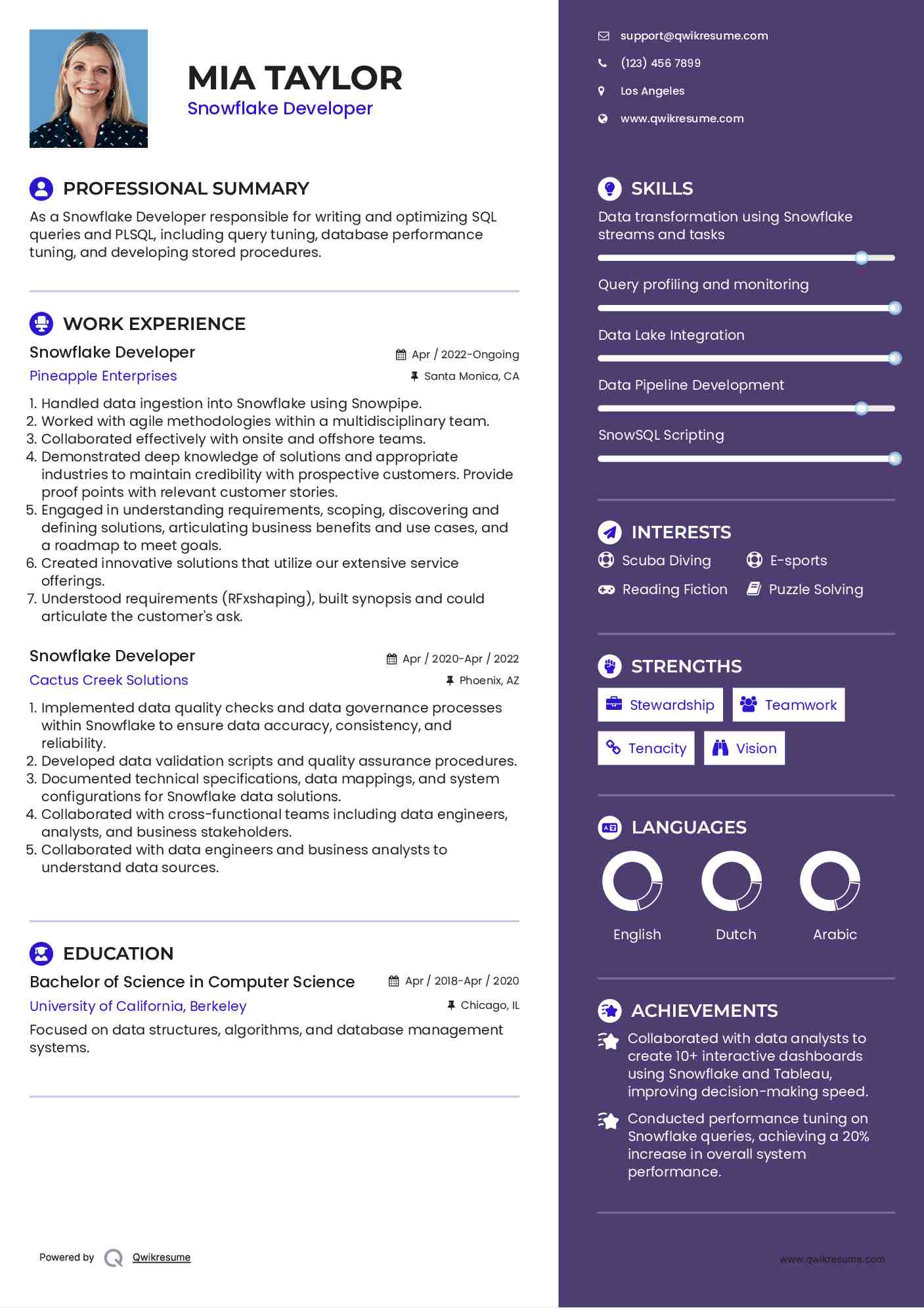 Snowflake Developer Resume Sample
