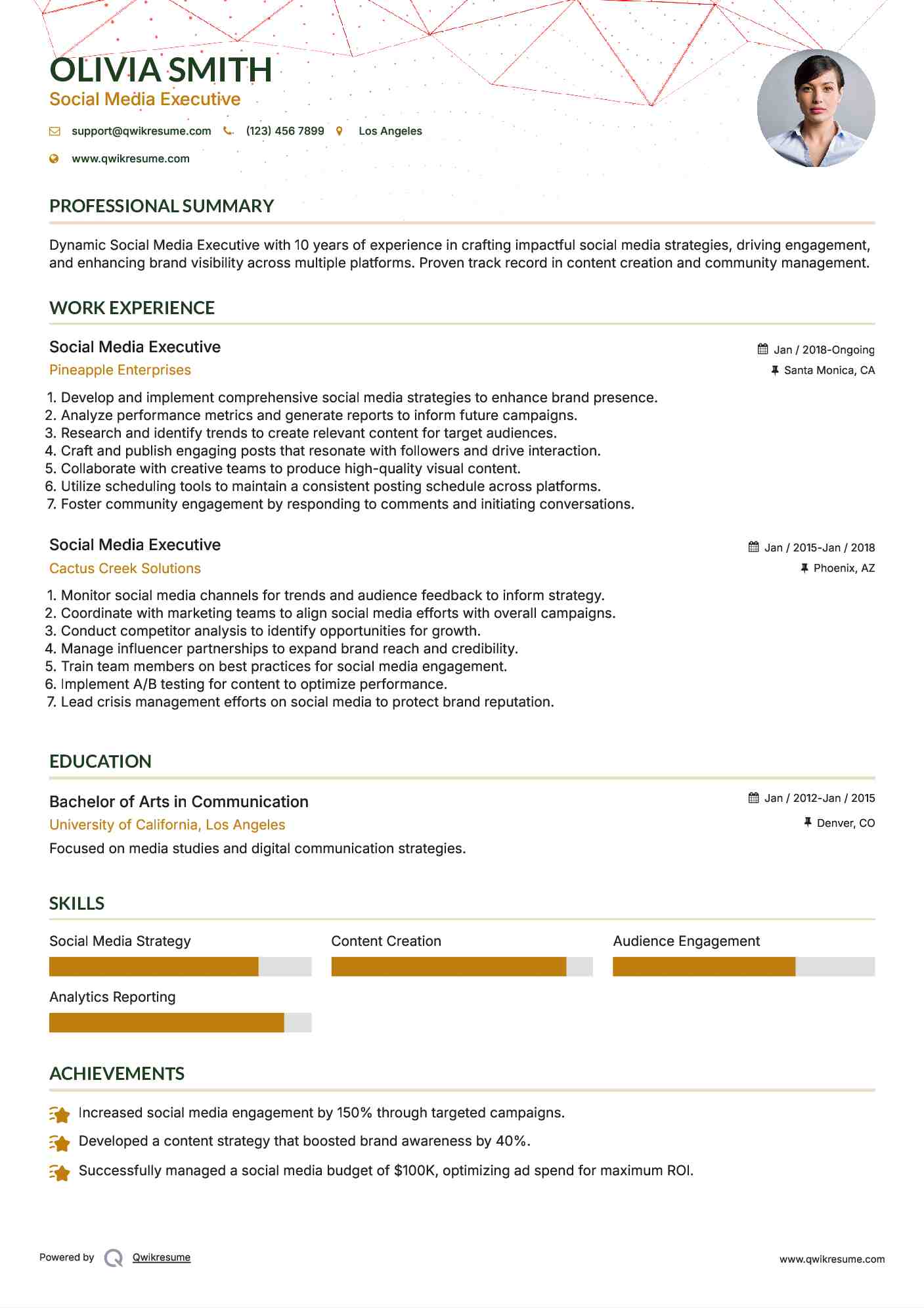 Social Media Executive Resume Example