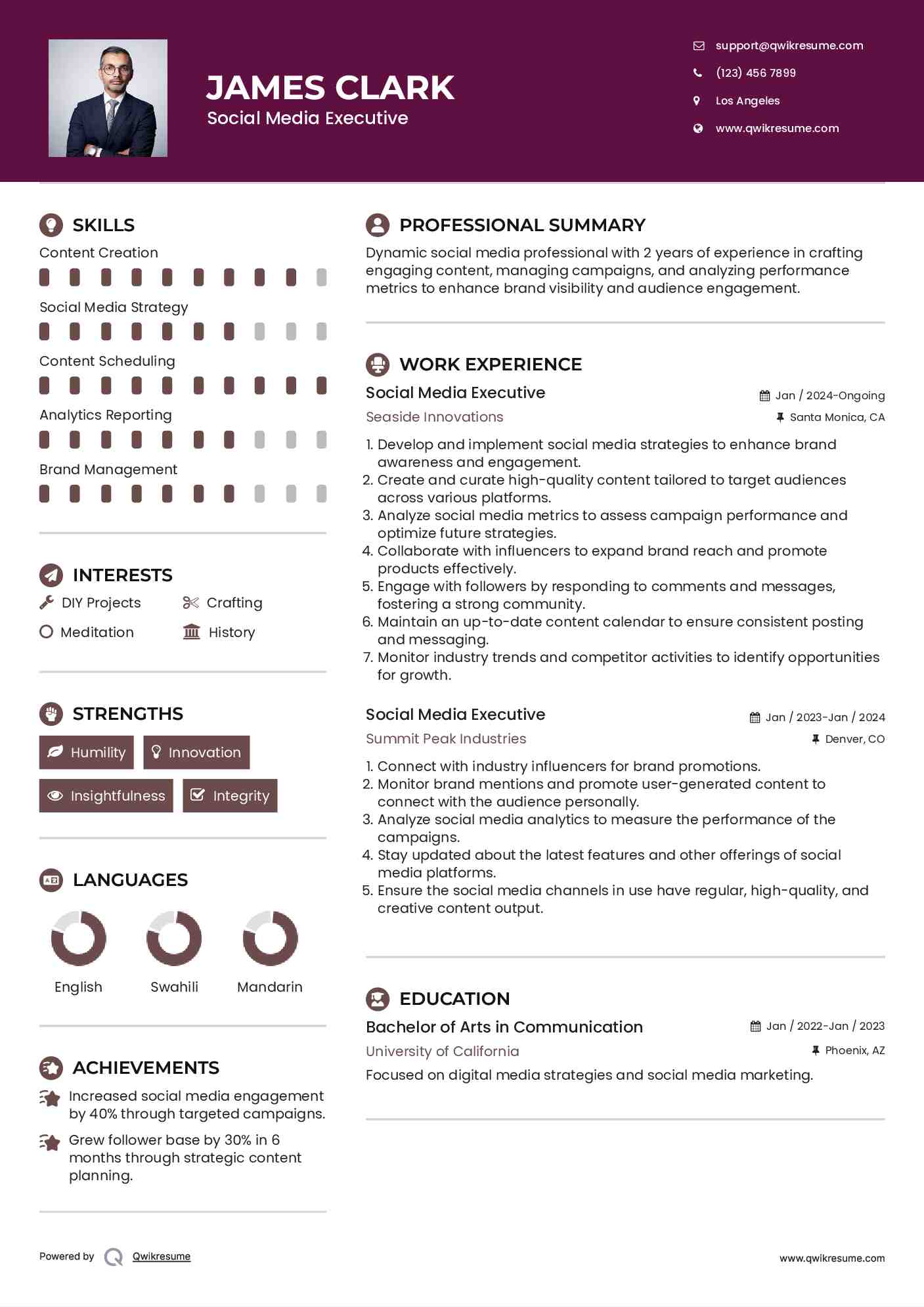 Social Media Executive Resume Format