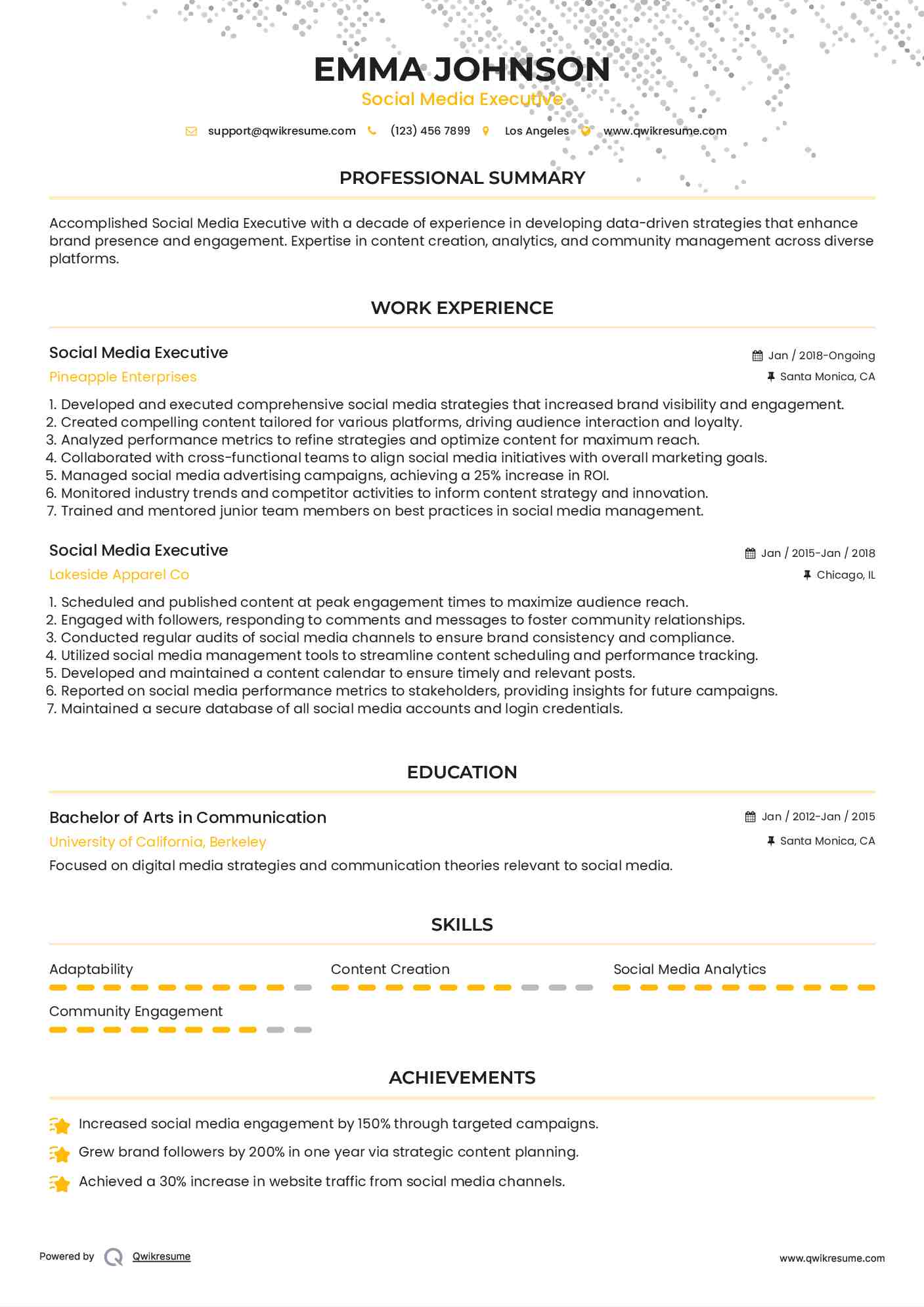 Social Media Executive Resume Example