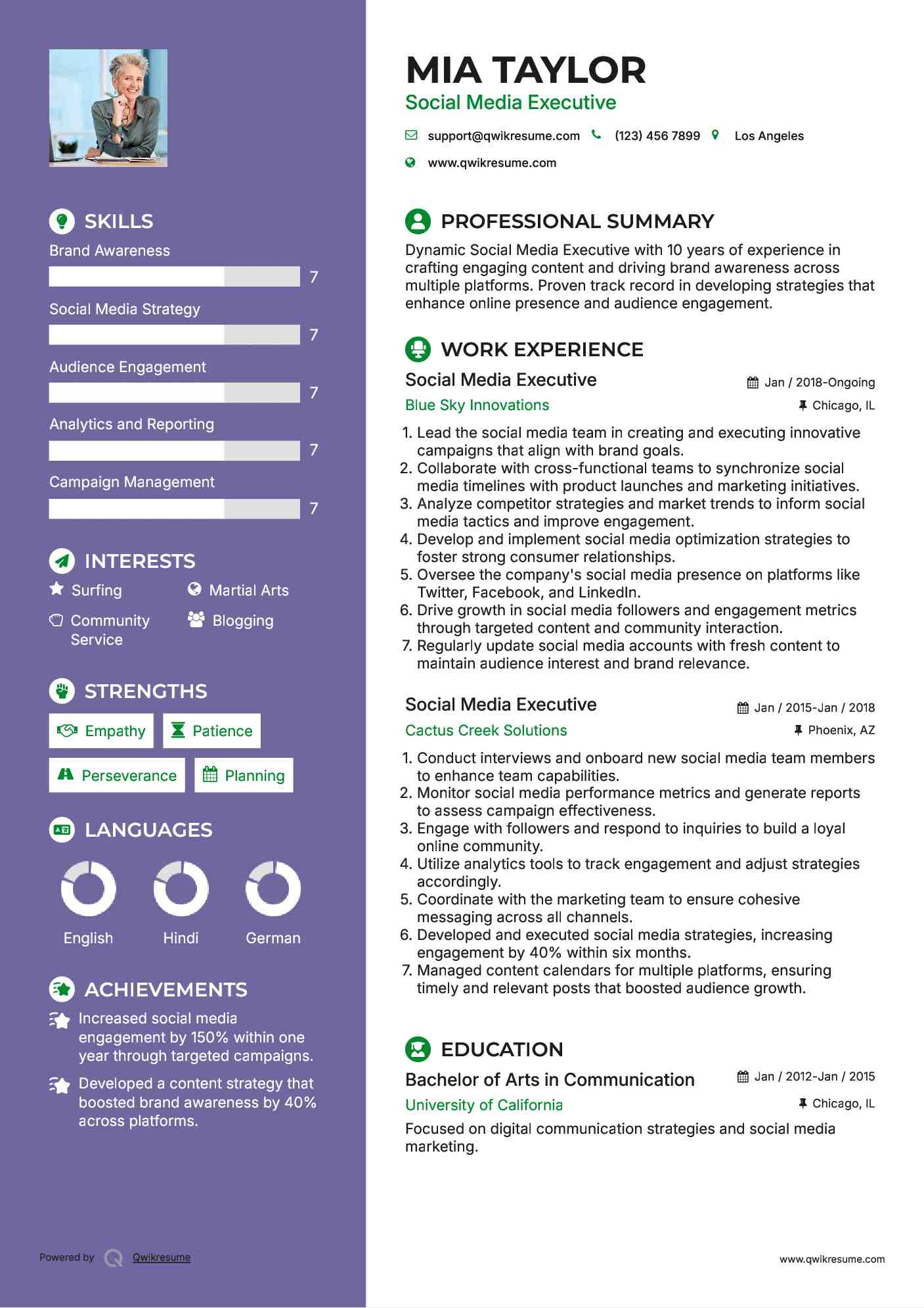 Social Media Executive Resume Model