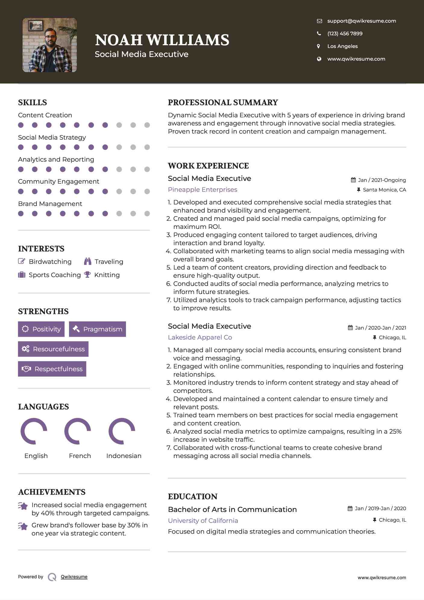 Social Media Executive Resume Sample