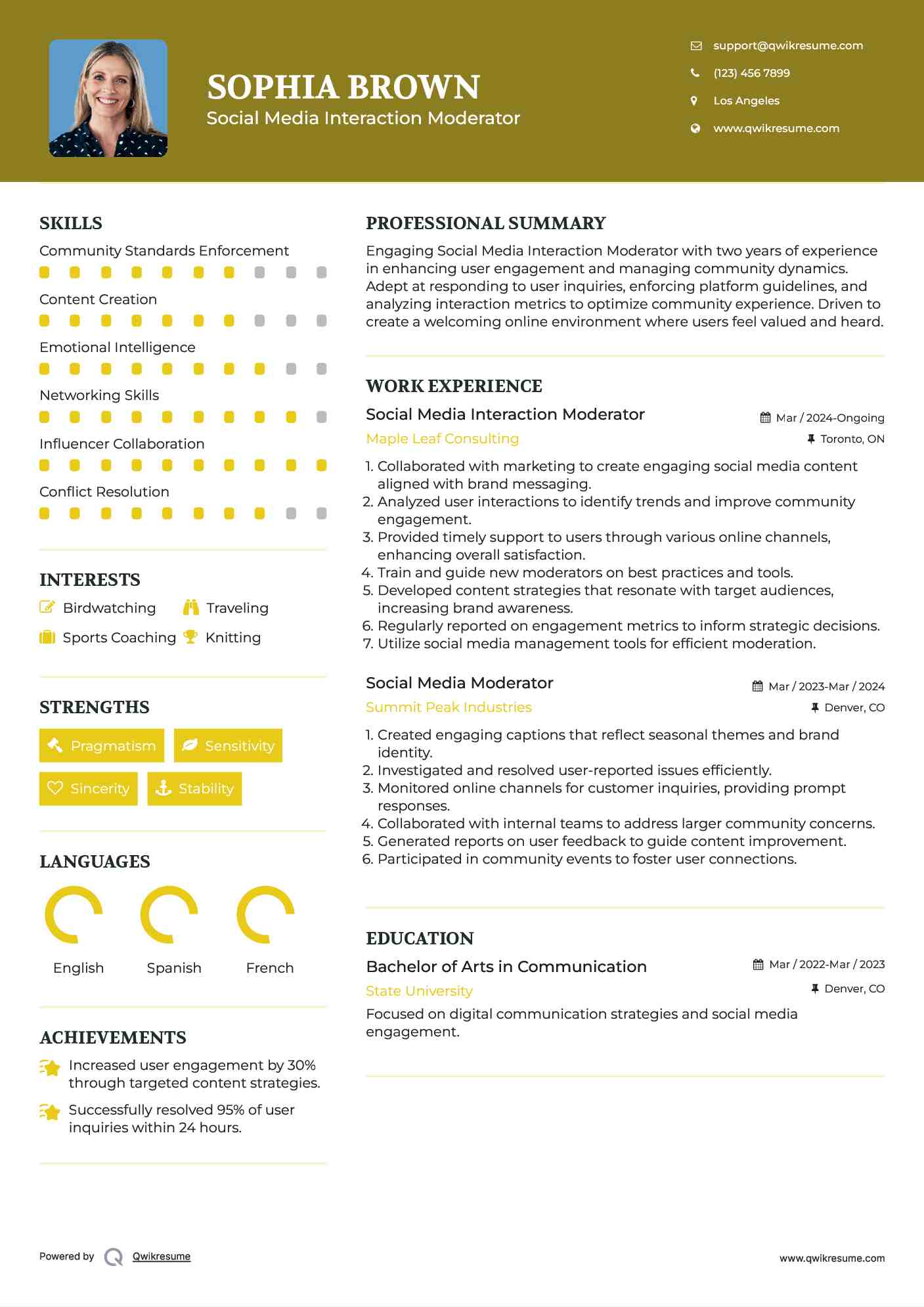 Social Media Interaction Moderator Resume Template