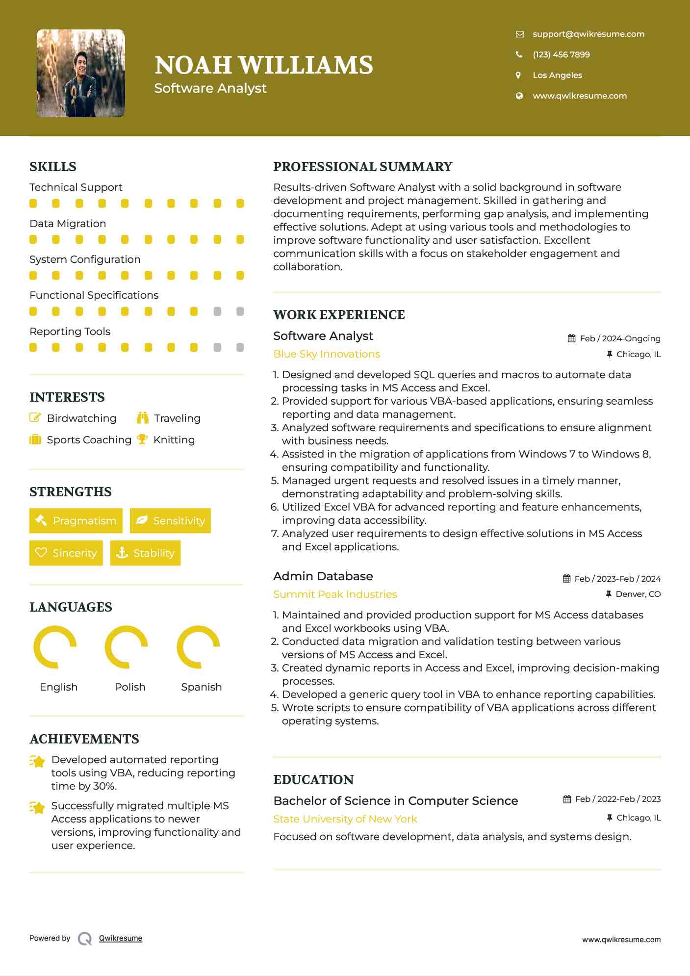 Software Analyst Resume Format