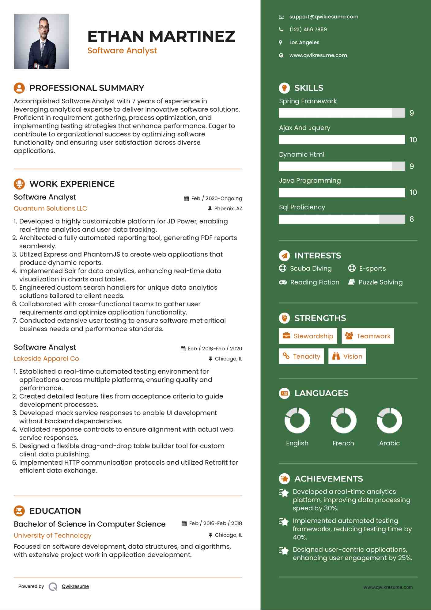 Software Analyst Resume Model