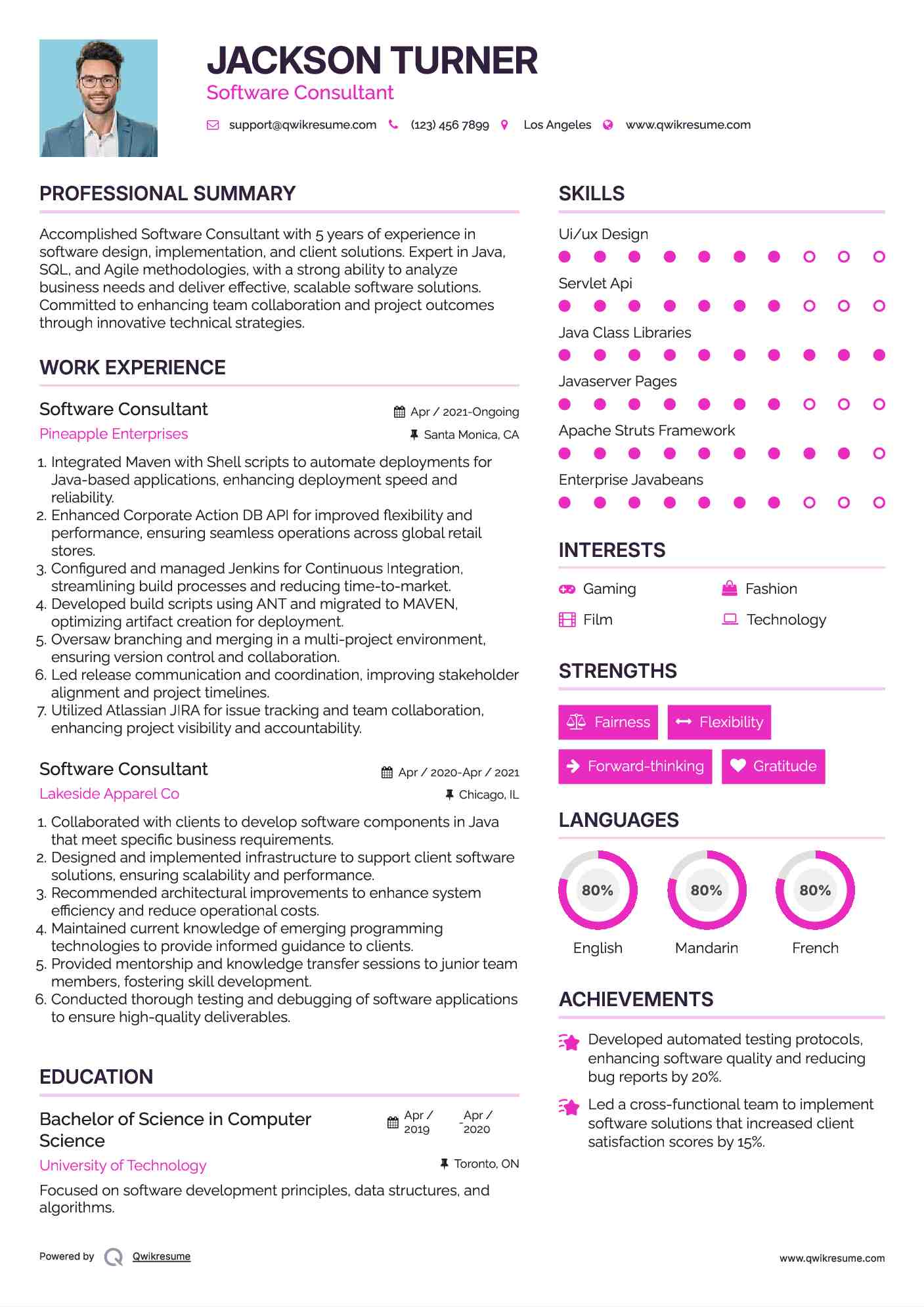 Software Consultant Resume Format