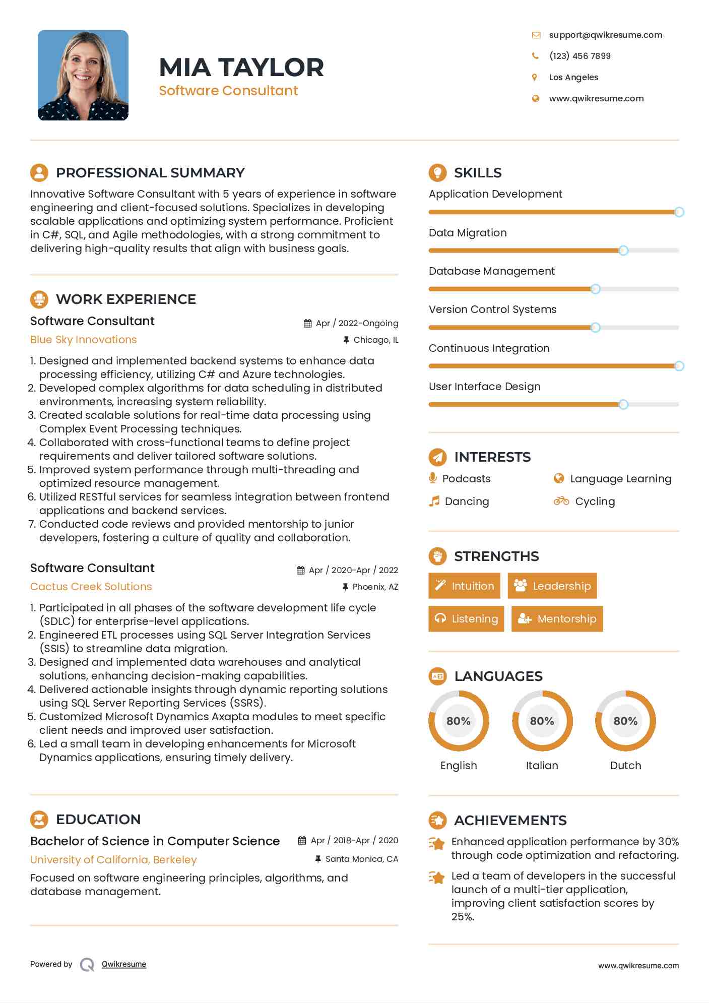 Software Consultant Resume Format