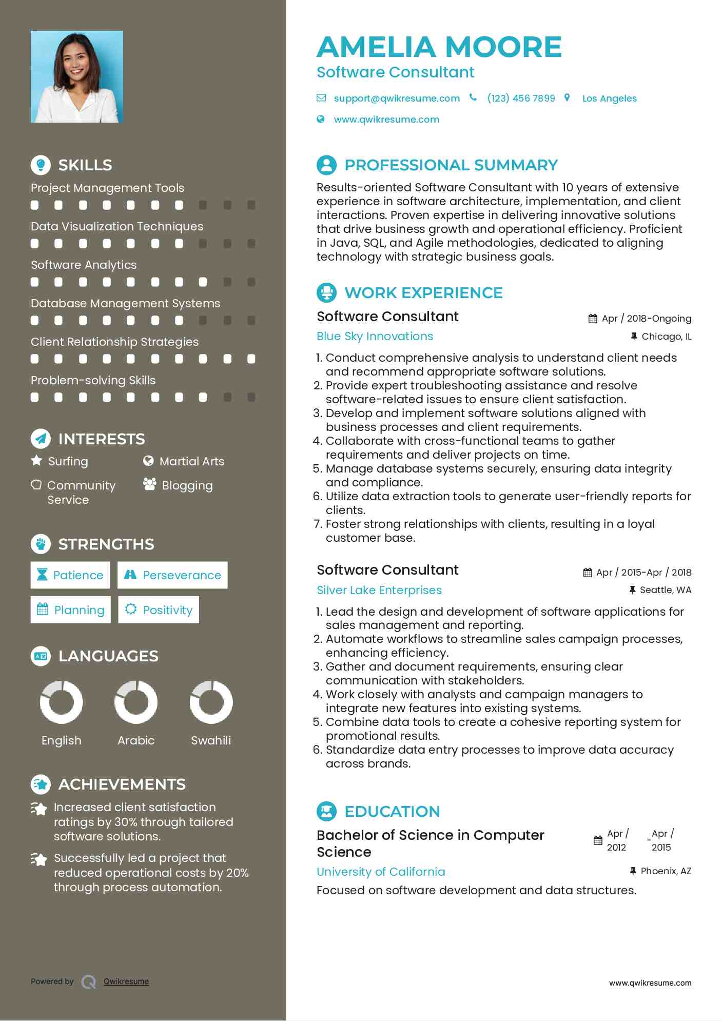Software Consultant Resume Sample