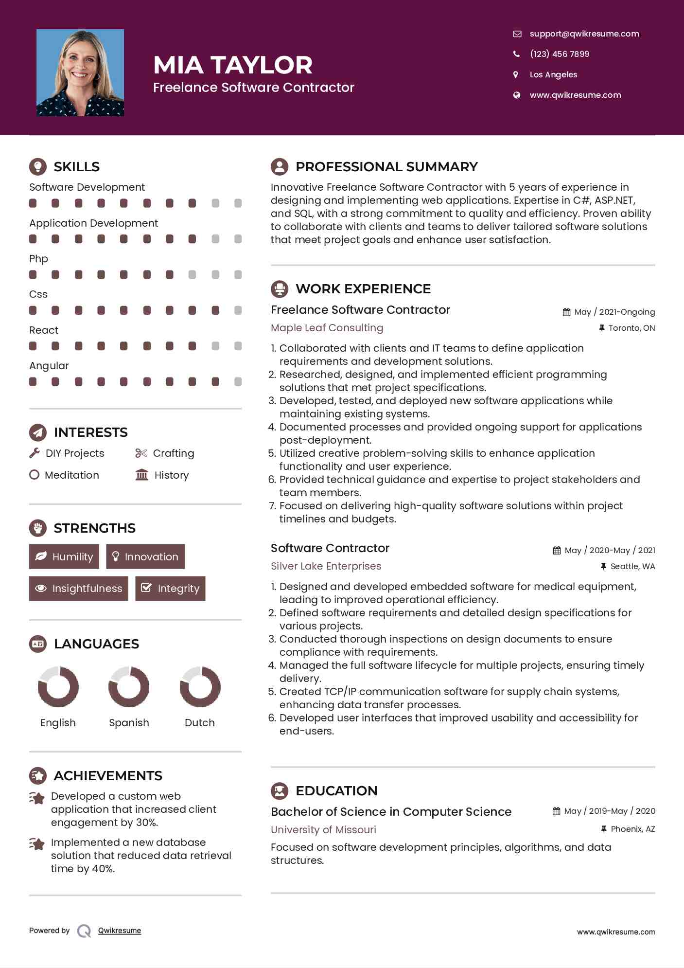 Freelance Software Contractor Resume Model