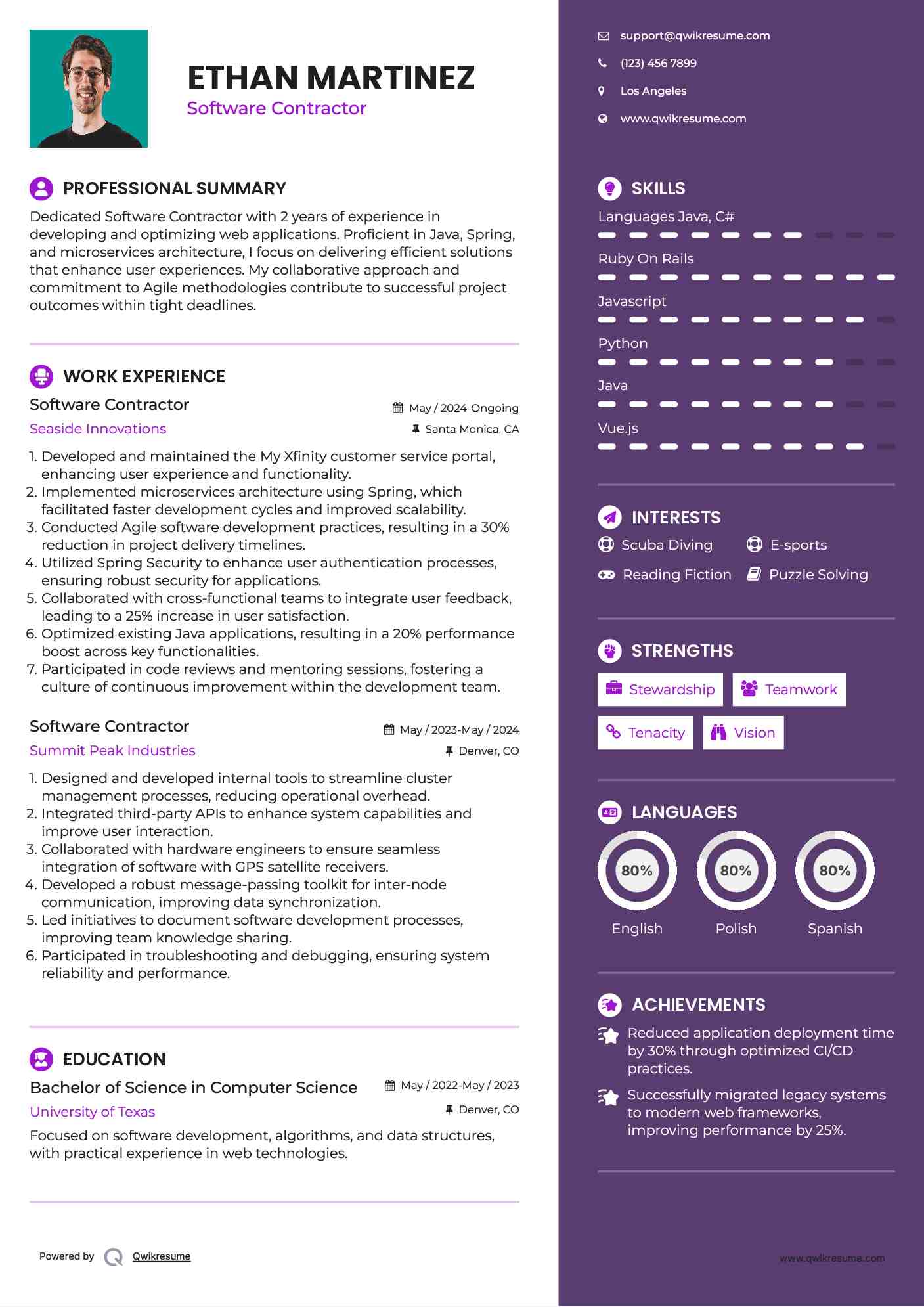 Software Contractor Resume Format
