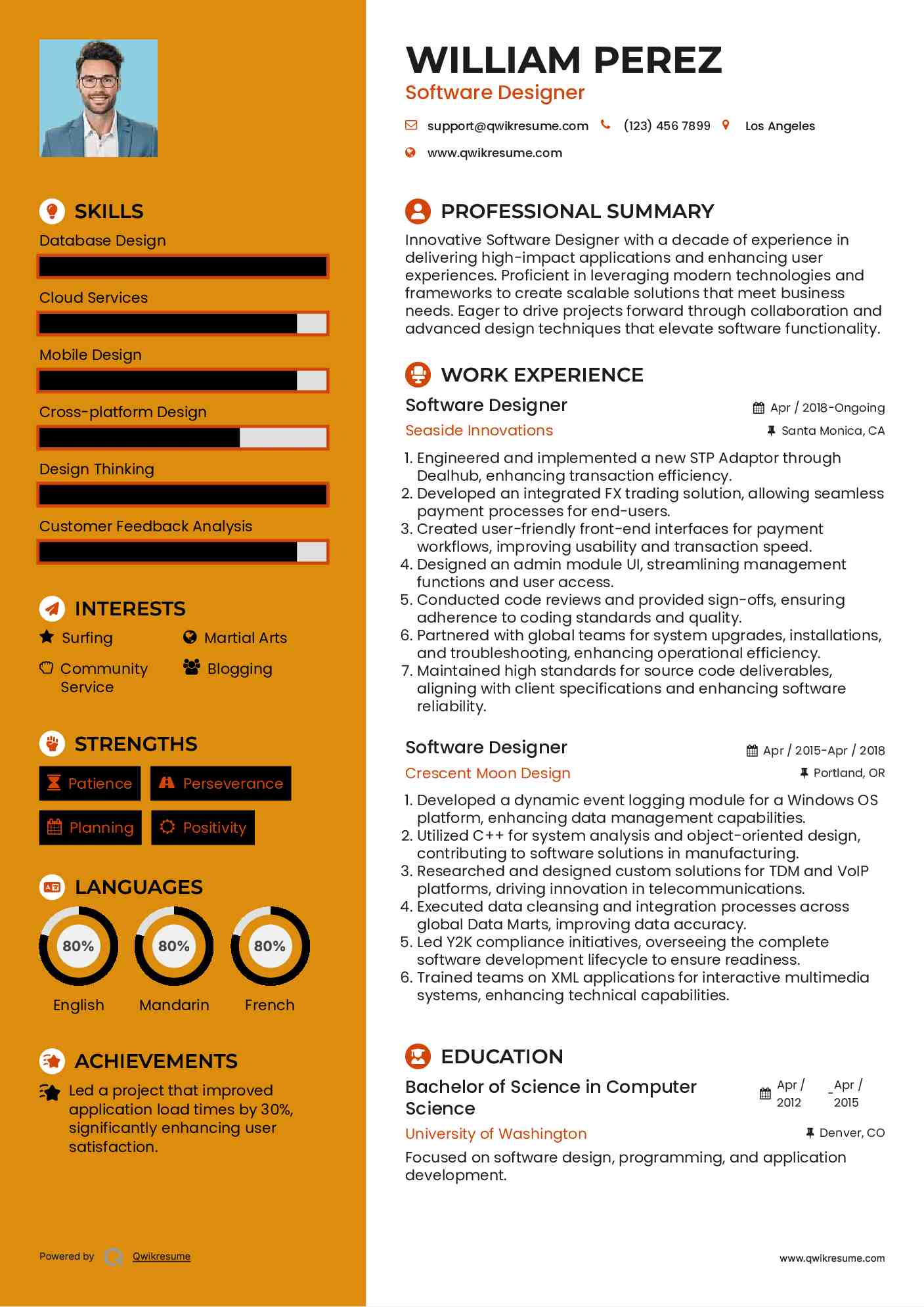 Software Designer Resume Model
