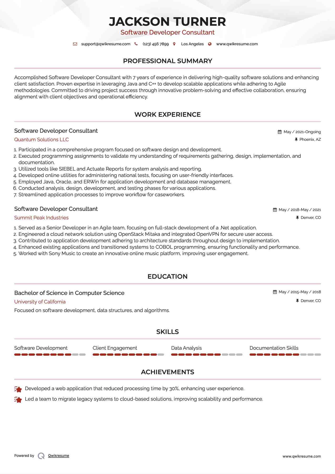 Software Developer Consultant Resume Model