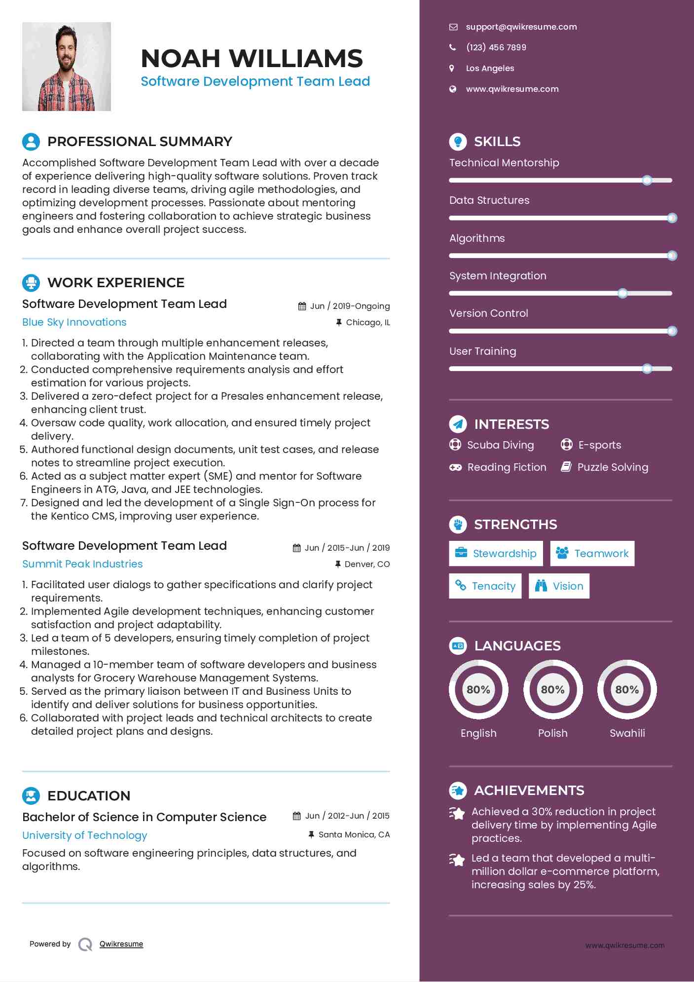 Software Development Team Lead Resume Format