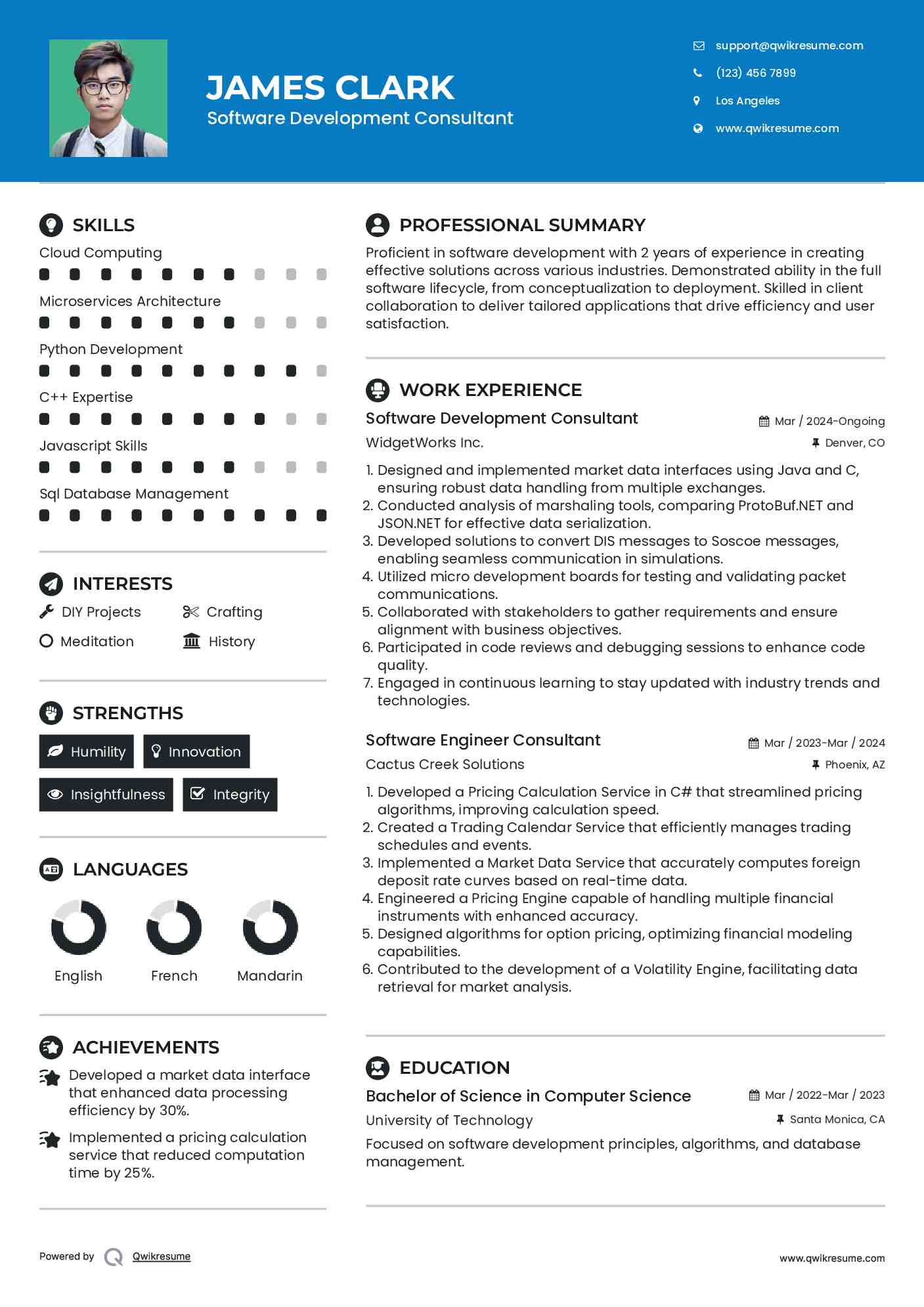 Software Development Consultant Resume Example