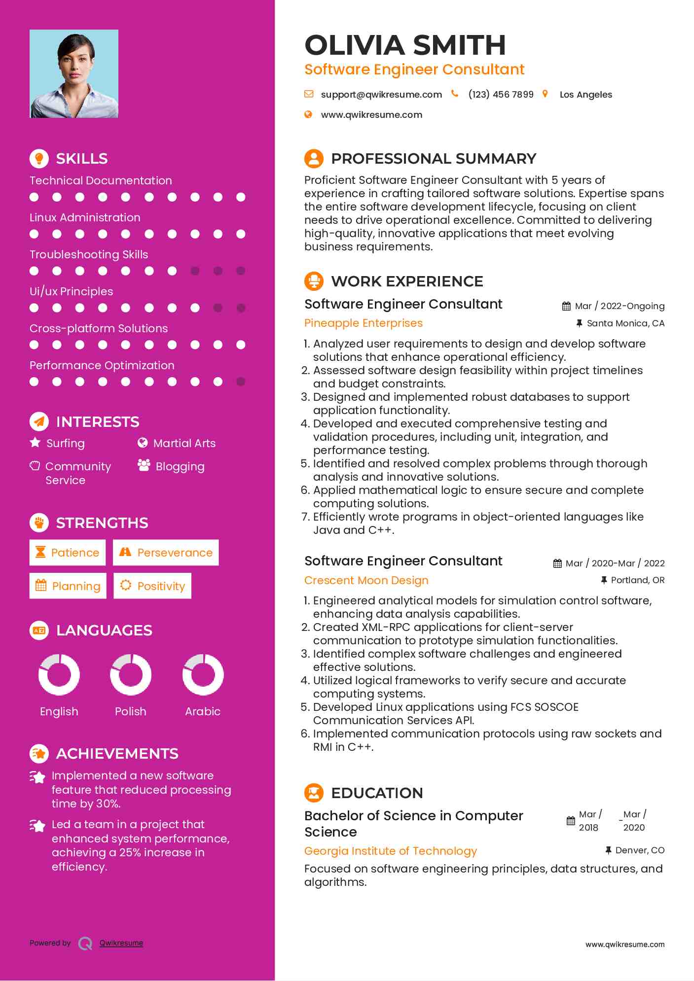 Software Engineer Consultant Resume Model