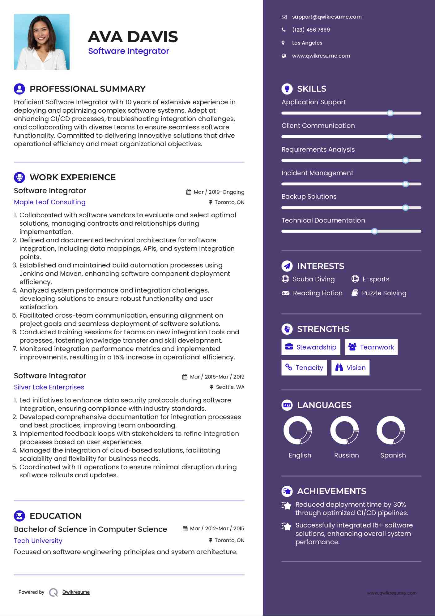 Software Integrator Resume Sample