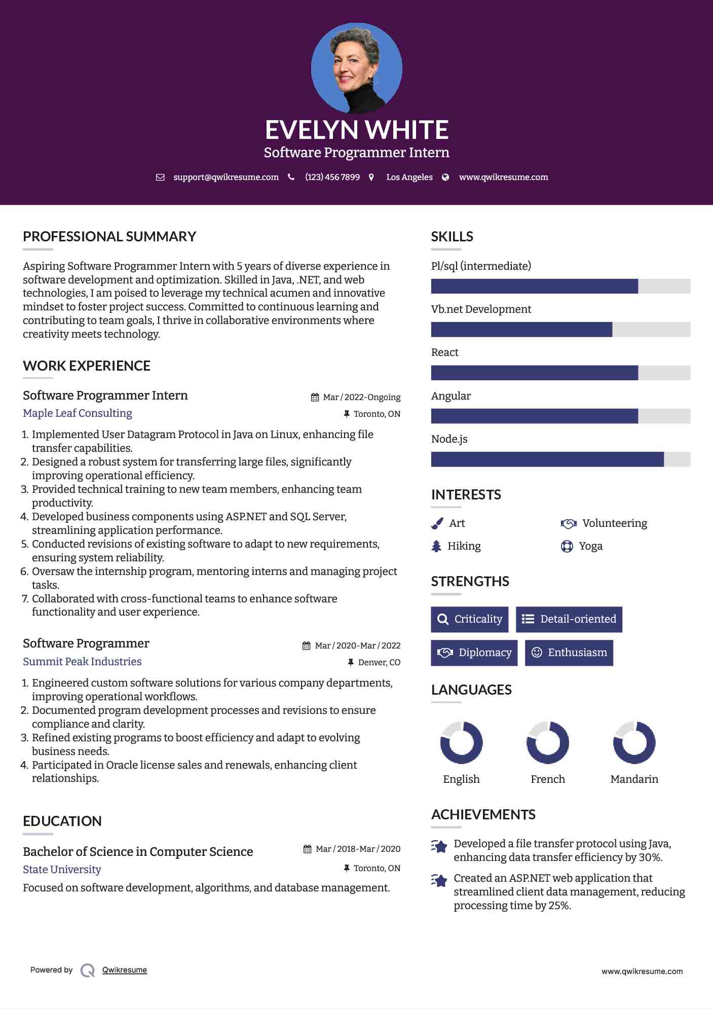 10 Software Programmer Resume - Software Programmer 1529484436 Pdf 