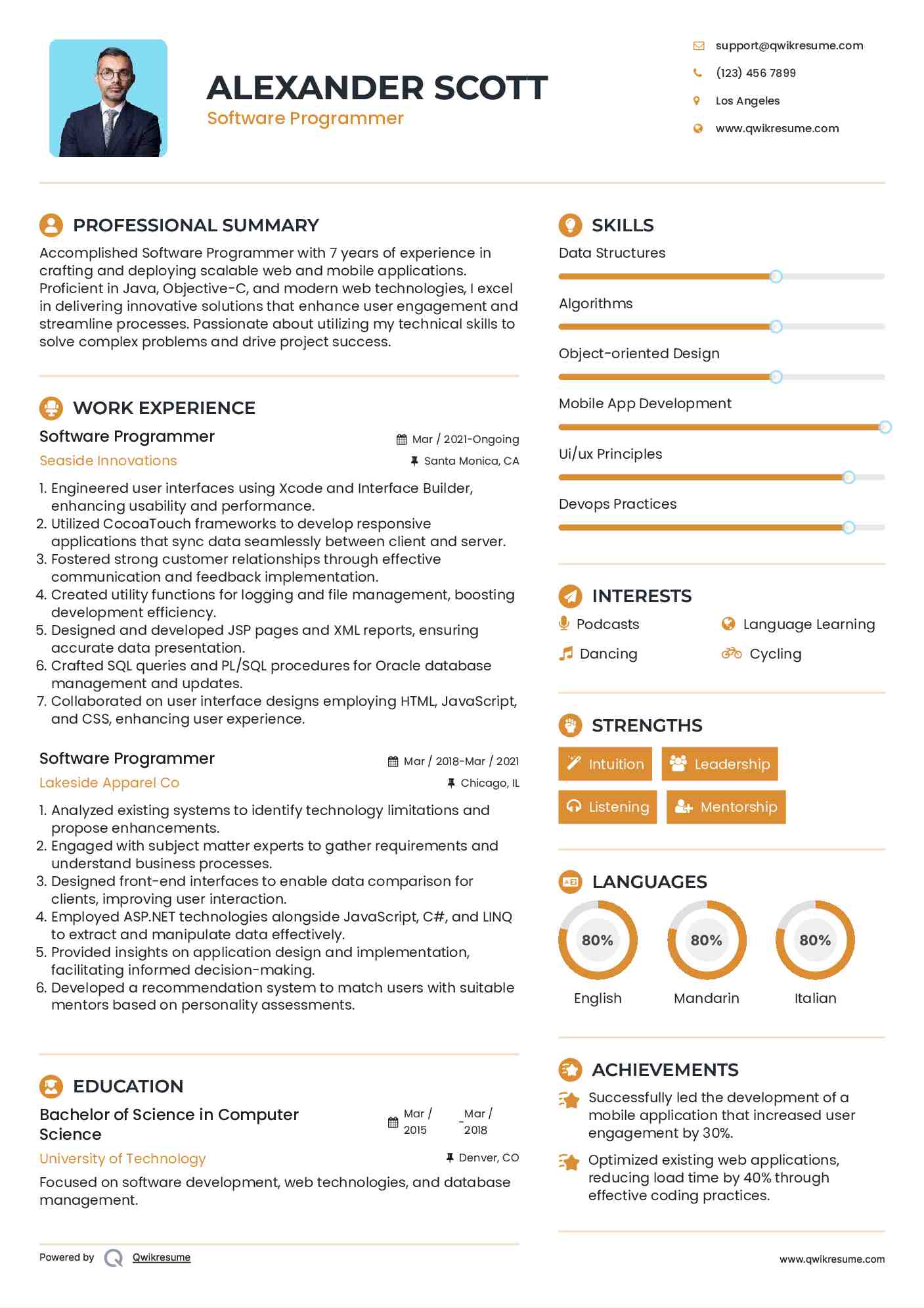Software Programmer Resume Model