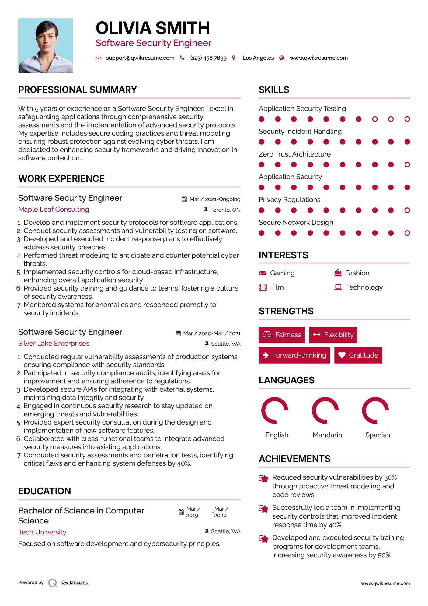 Software Security Engineer Resume Example