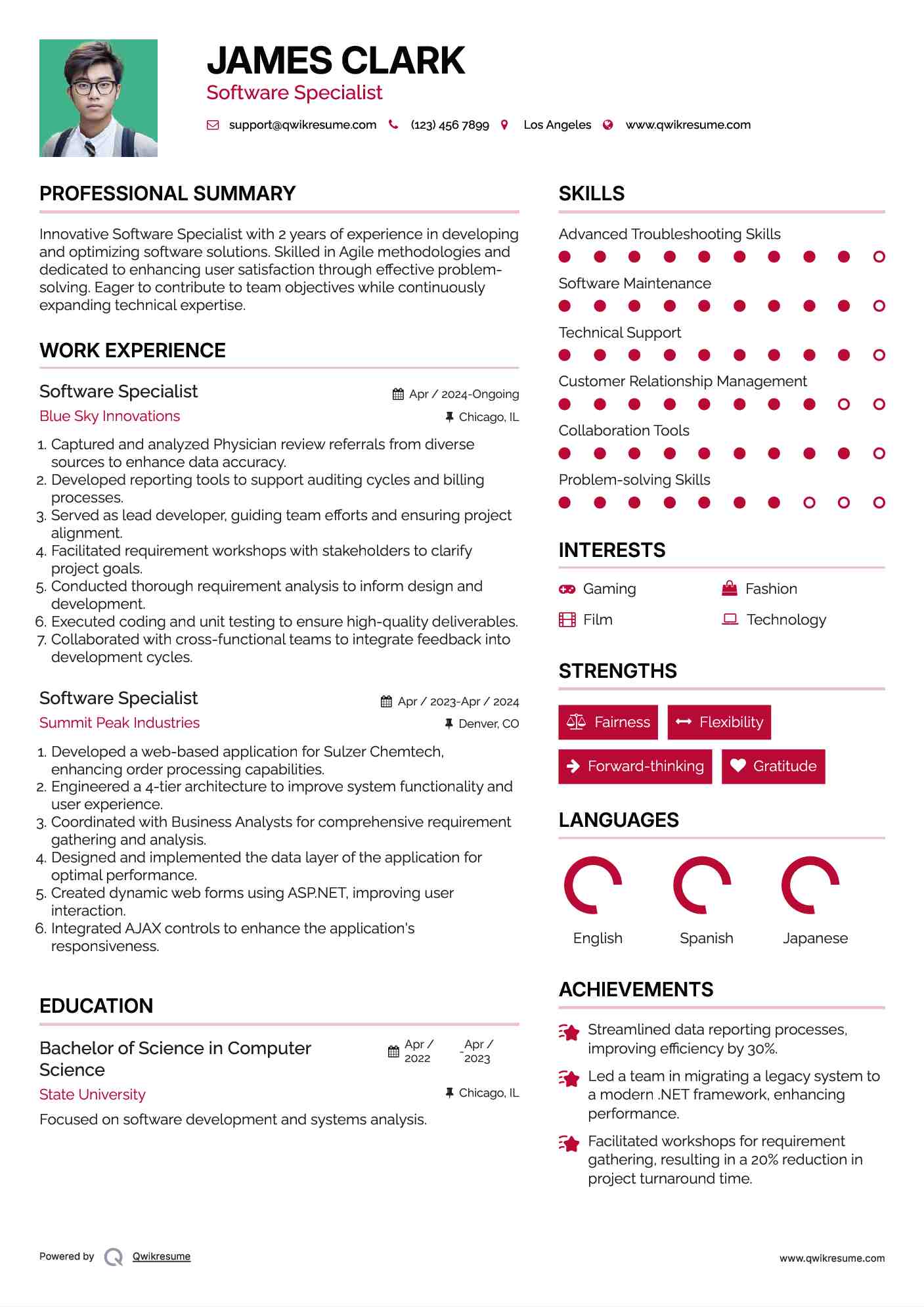 Software Specialist Resume Format