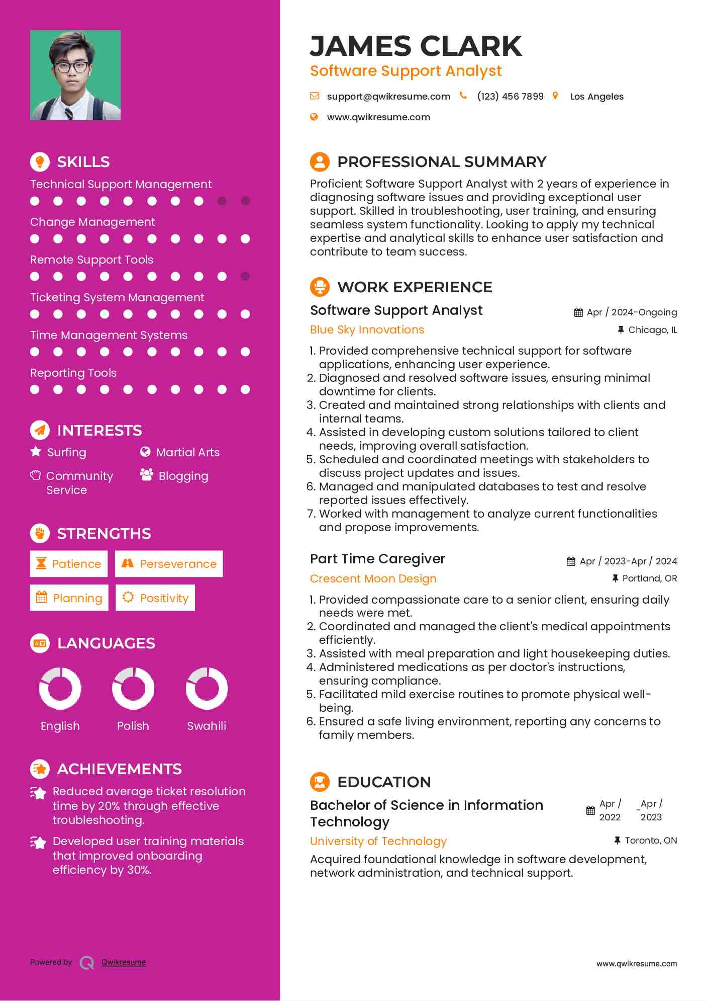 Software Support Analyst Resume Format