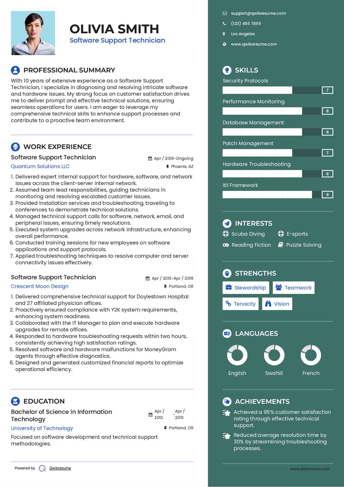 Software Support Technician Resume Format