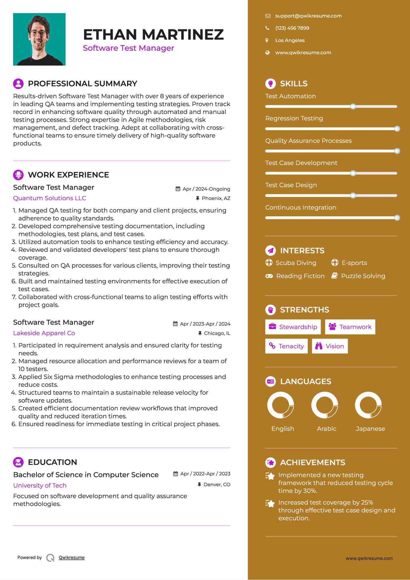 Software Test Manager Resume Example