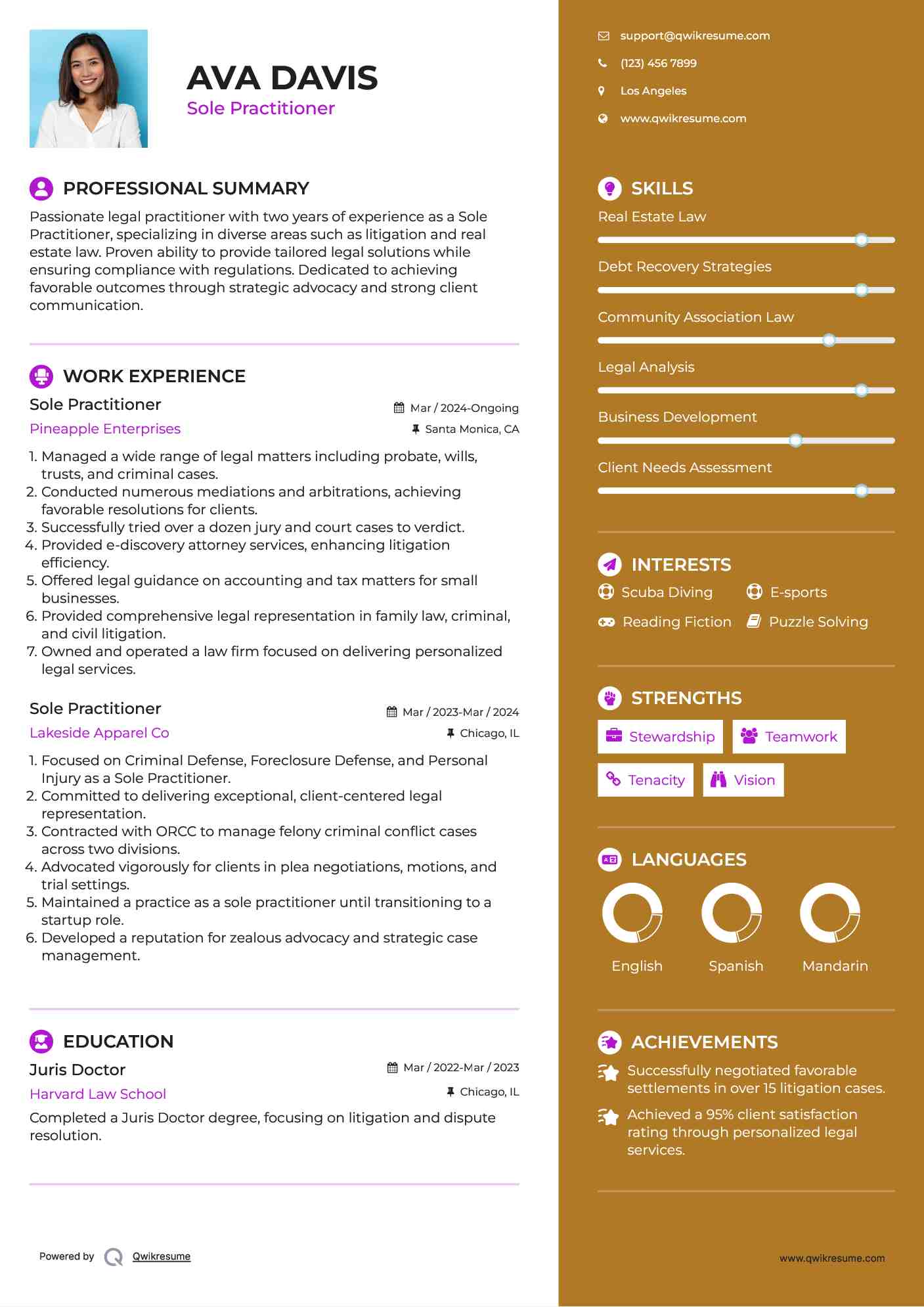 Sole Practitioner Resume Example
