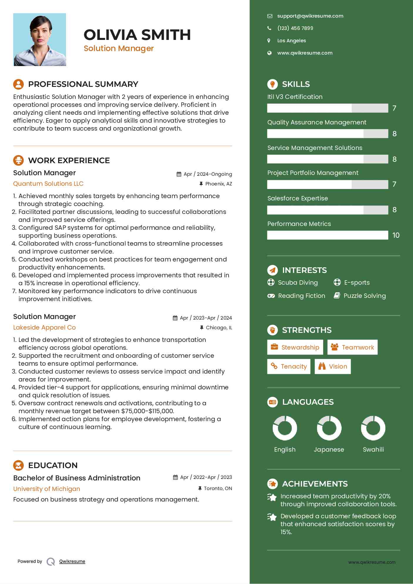 Solution Manager Resume Sample