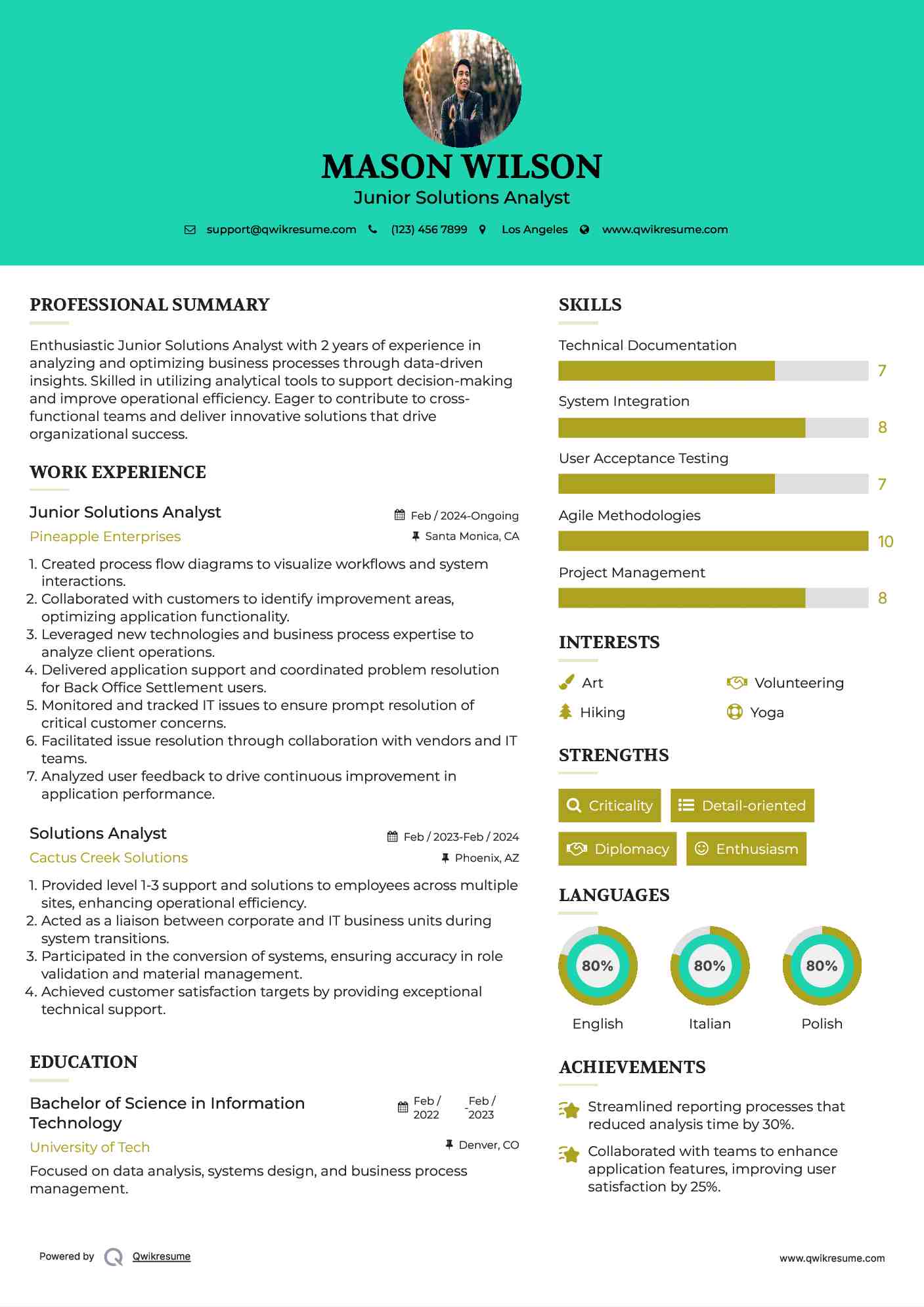 Junior Solutions Analyst Resume Template