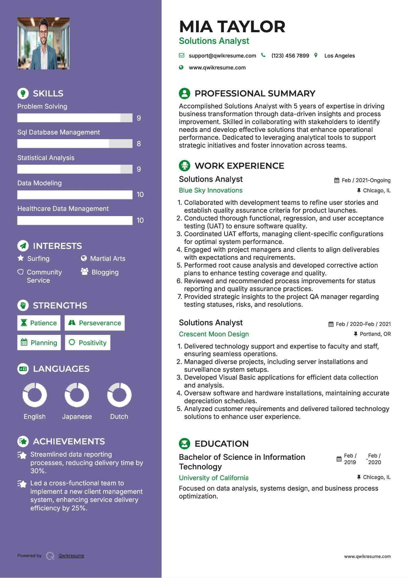 Solutions Analyst Resume Model