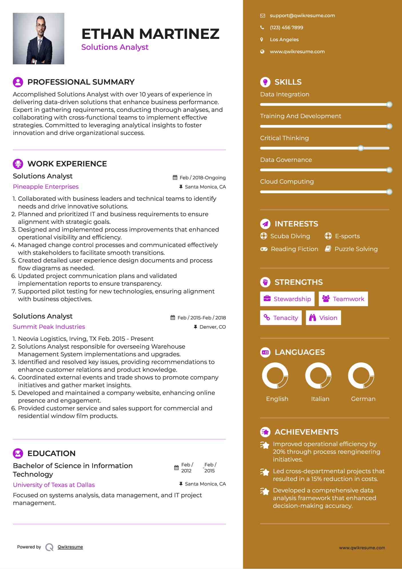 Solutions Analyst Resume Example