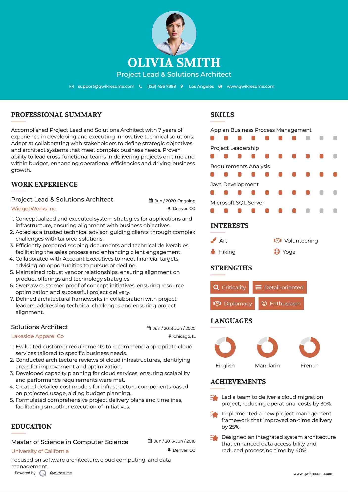 Project Lead & Solutions Architect Resume Format