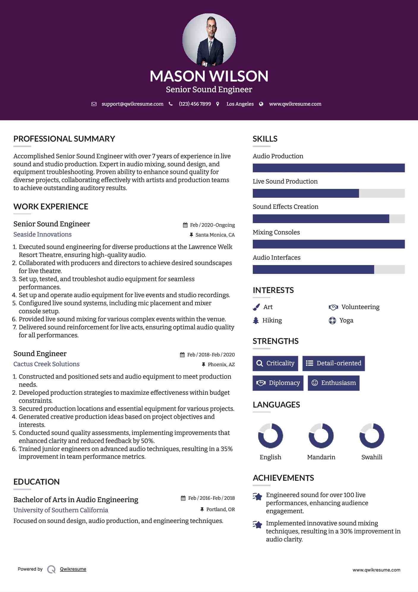 Senior Sound Engineer Resume Template