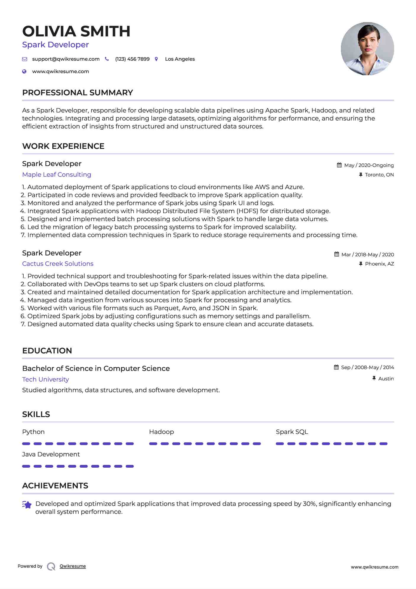 Spark Developer Resume Format